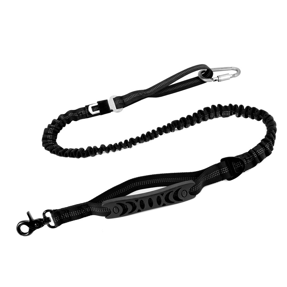 Dog lead with car seatbelt