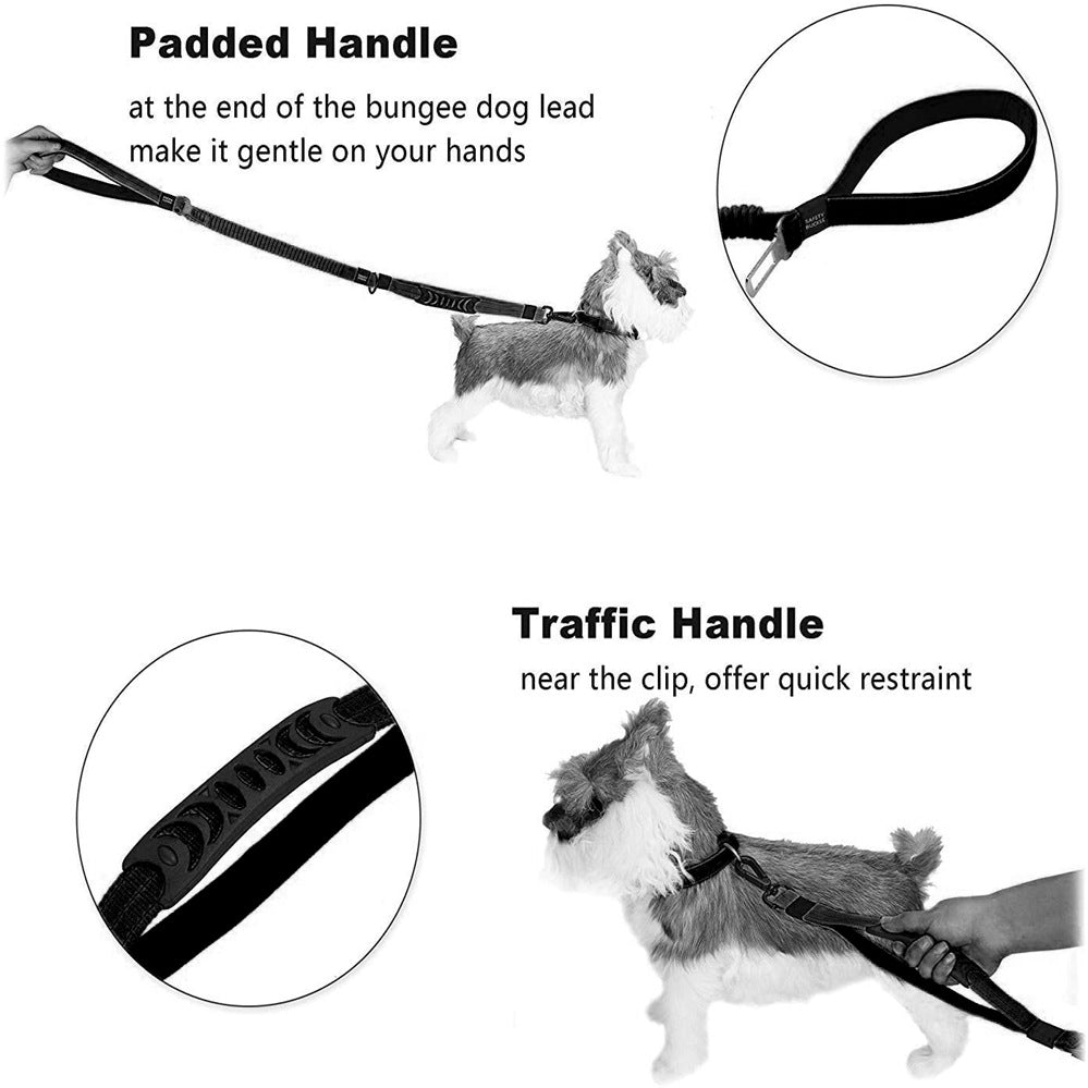 Dog lead with car seatbelt