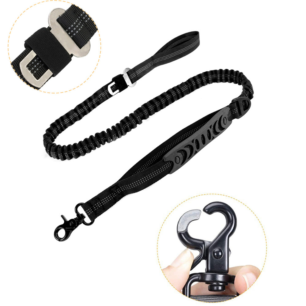 Dog lead with car seatbelt