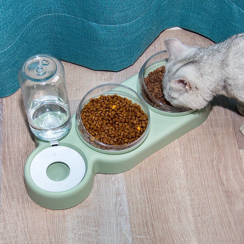 Pet bowl and automatic water feeder