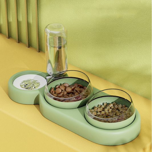 Pet bowl and automatic water feeder