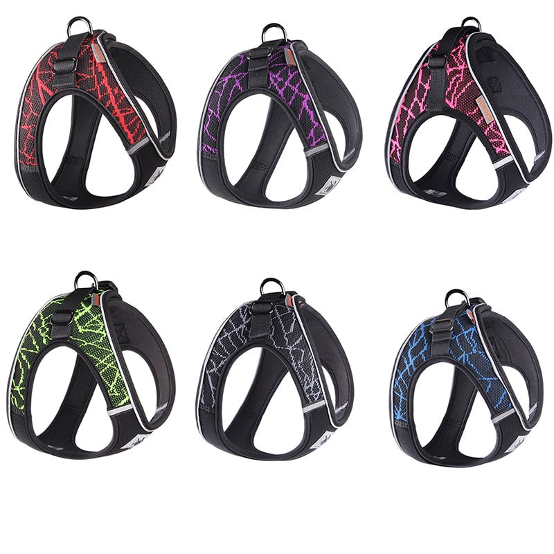 No Pull Dog Harness