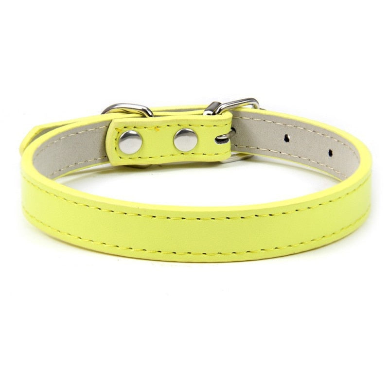 1PC Adjustable Colourful Pet Collar