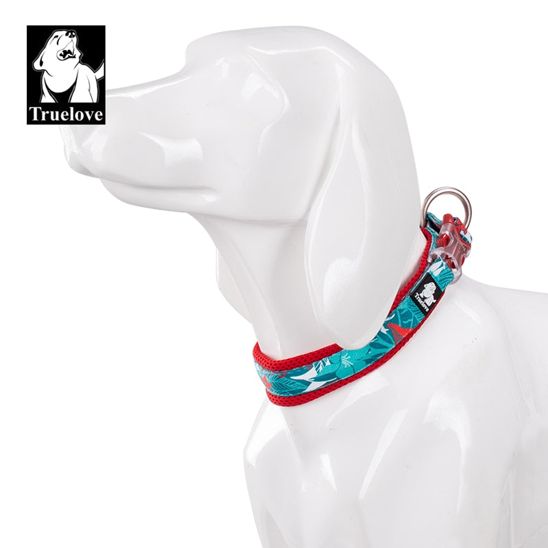 Truelove floral dog collar