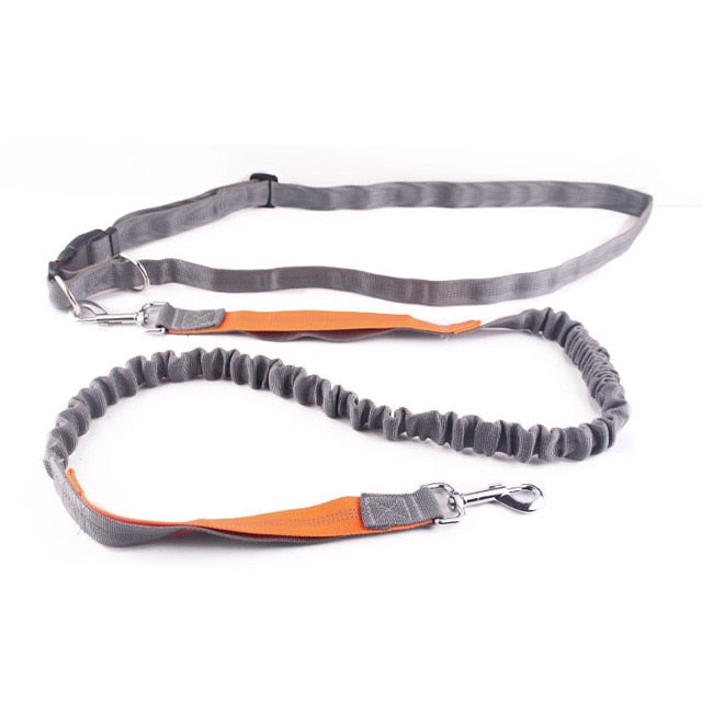 Tuff Mutt dog training lead with shock absorption 