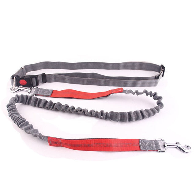 Tuff Mutt dog training lead with shock absorption 