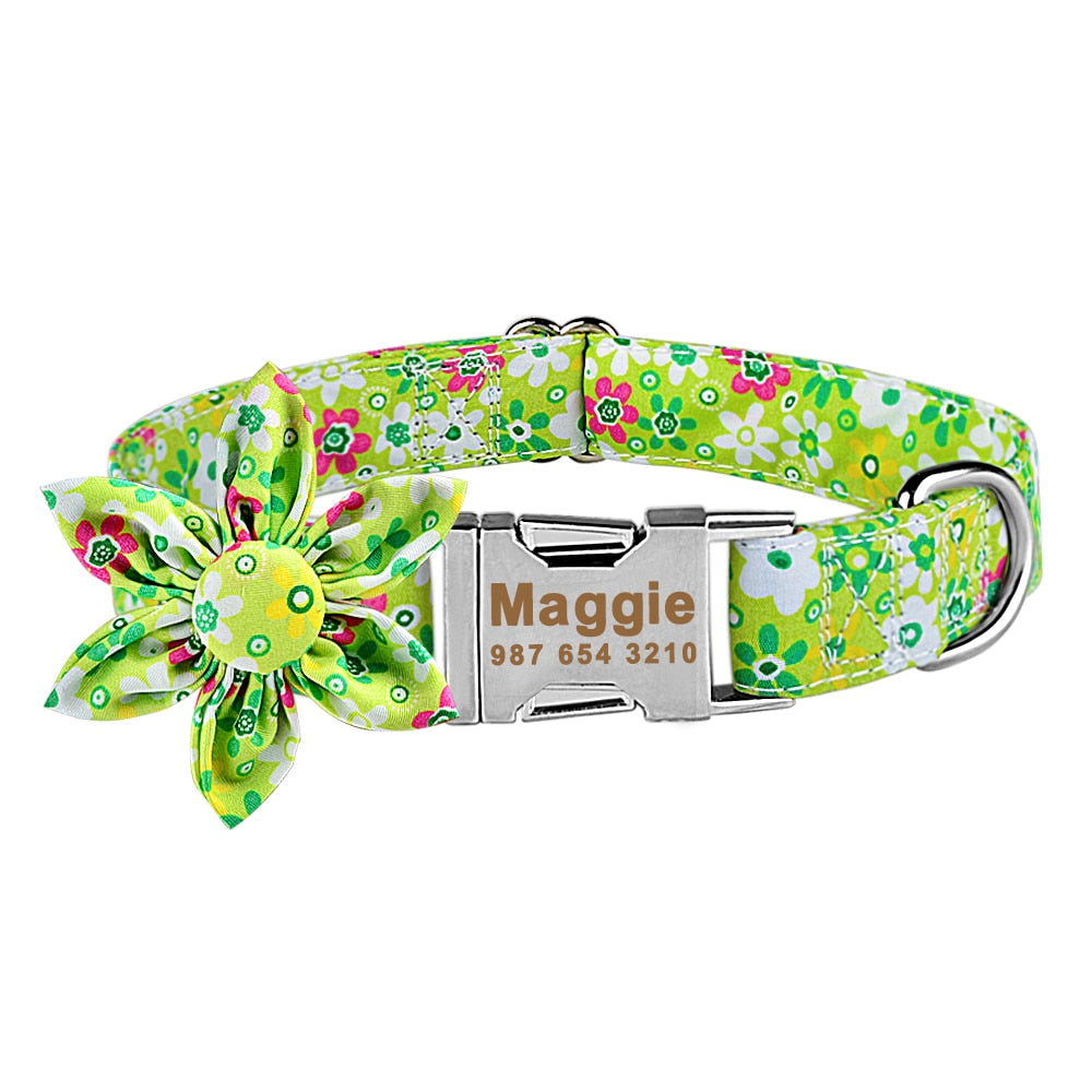 Personalized dog collar - free engraving