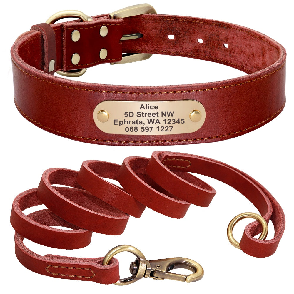 Leather Dog Collar Leash Set Personalized  Free Engraving