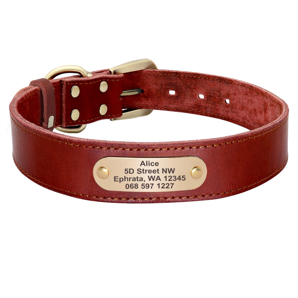 Leather Dog Collar Leash Set Personalized  Free Engraving