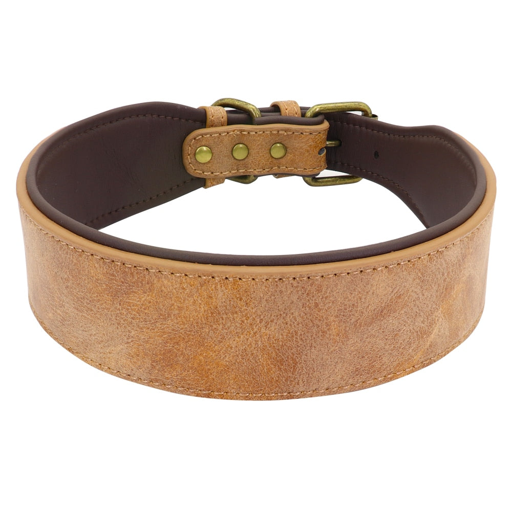 Wide leather dog collar