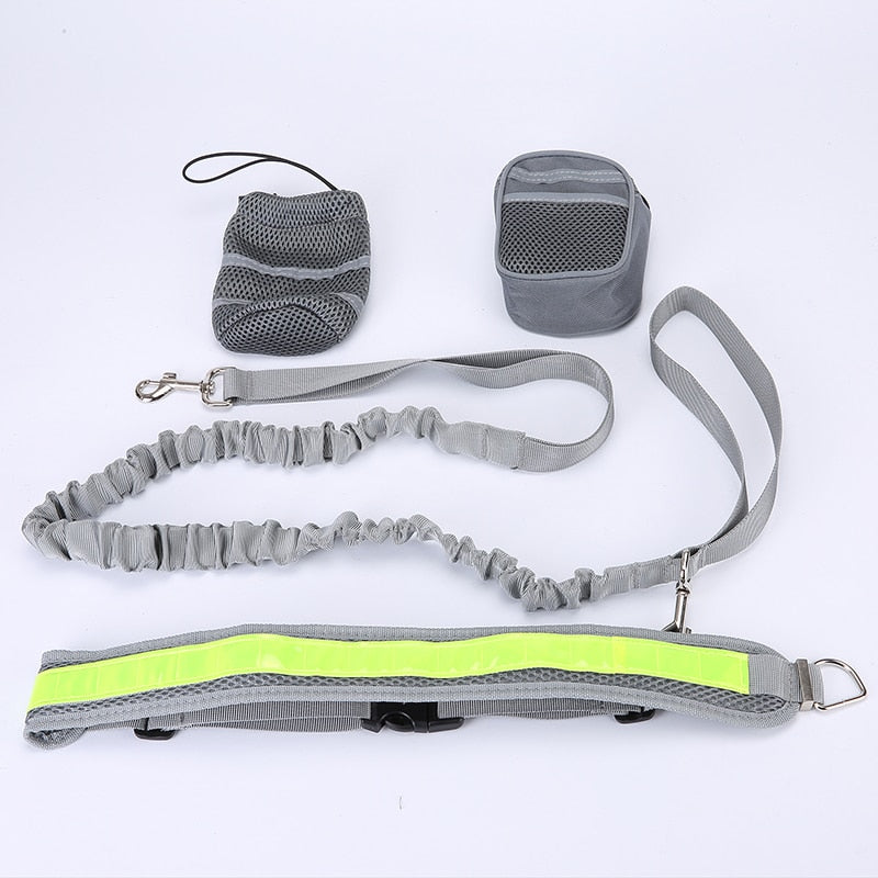 Dog waist belt and lead for running 4pc/5pcs set