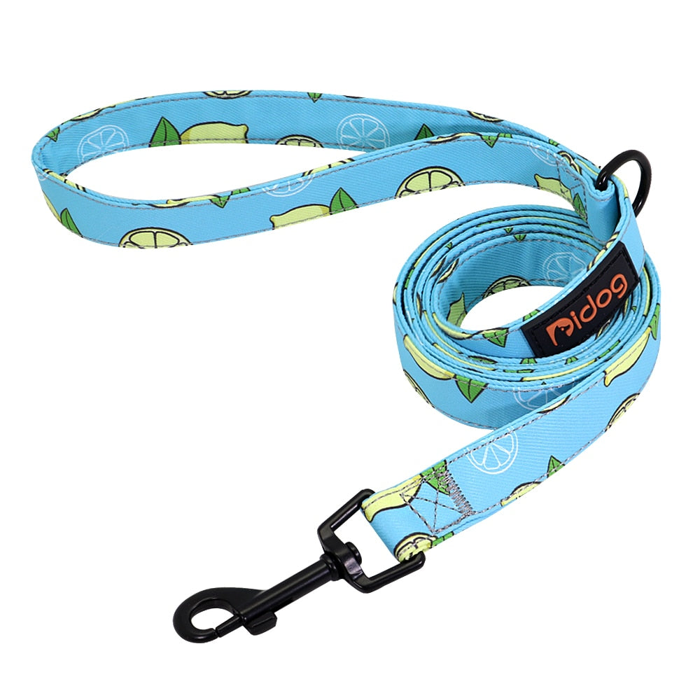 150cm Nylon Dog Leash Printed