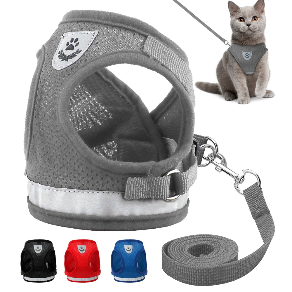 Didog dog/cat harness with lead set