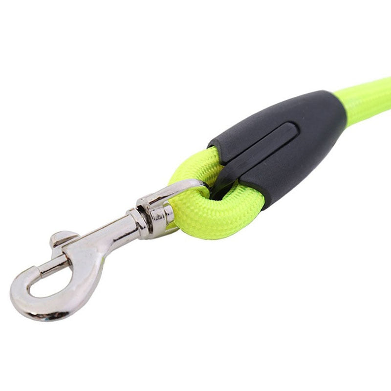 Rainbow 1.2M dog training lead