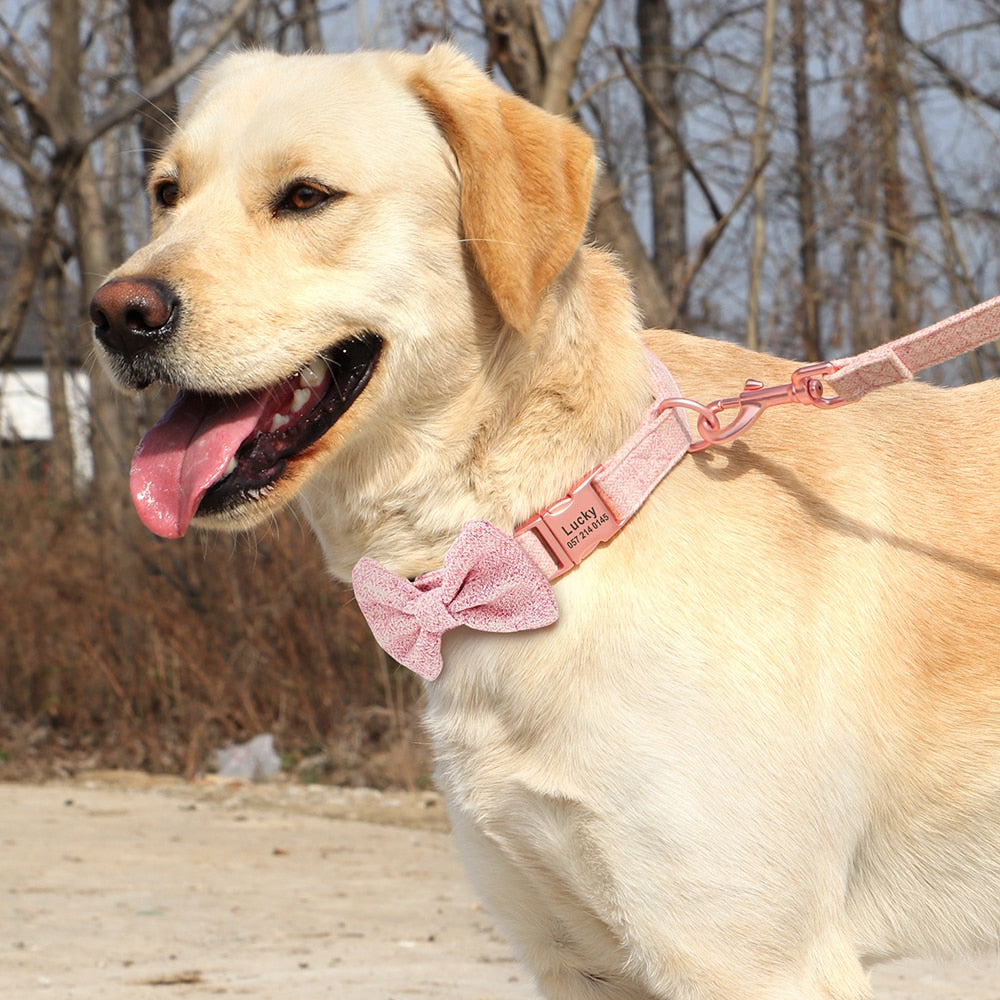 Customized Dog Collar Leash Set  With Bowtie Adjustable Free Engraving