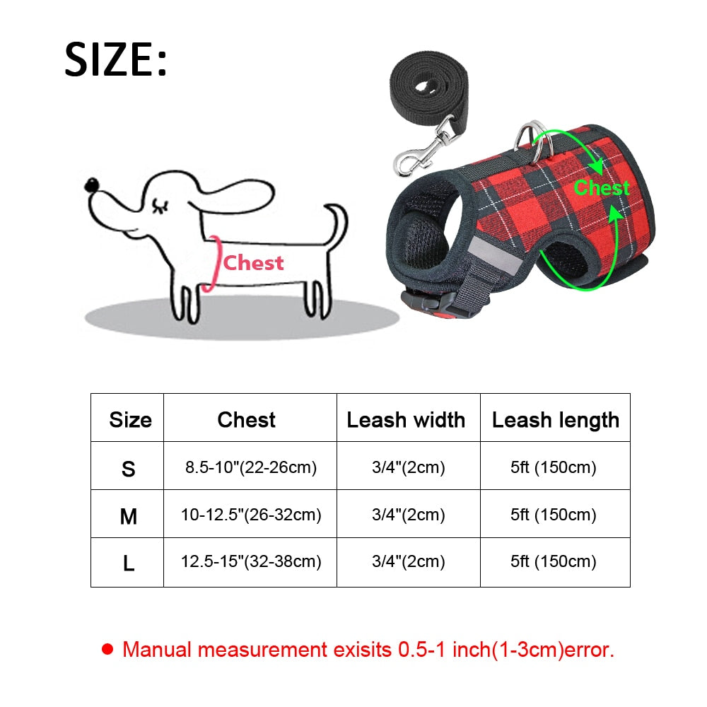 Didog dog/cat harness with lead set