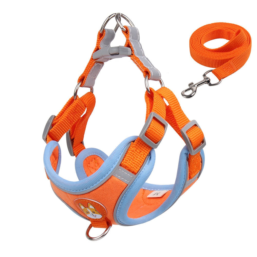 Dog harness and leash set