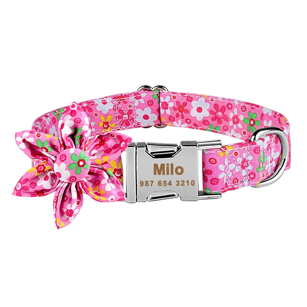 Personalized dog collar - free engraving