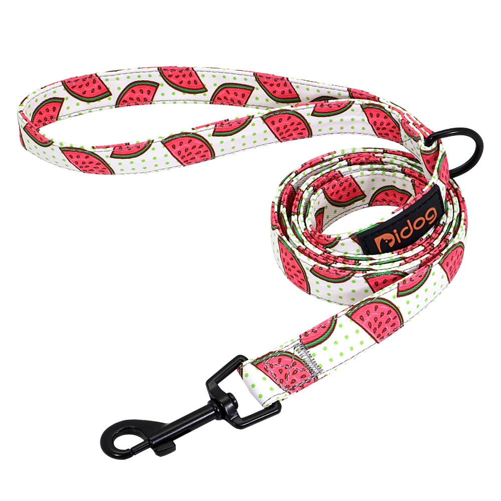 150cm Nylon Dog Leash Printed