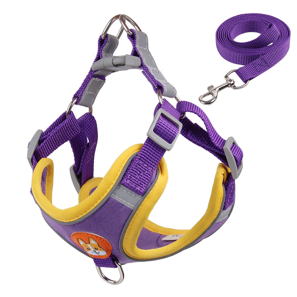 Dog harness and leash set