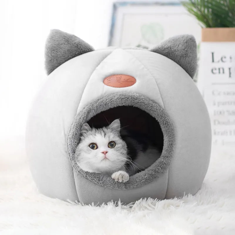 New deep sleep cat house