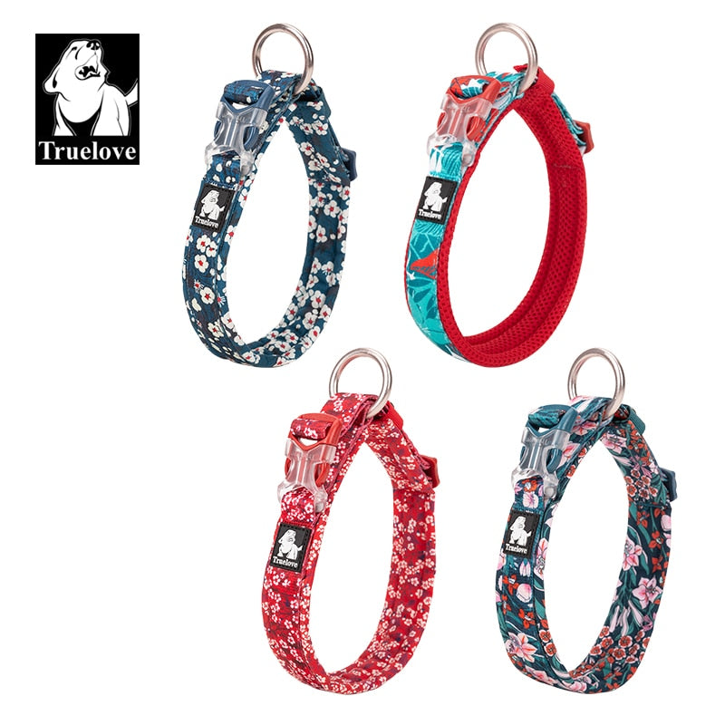 Truelove floral dog collar