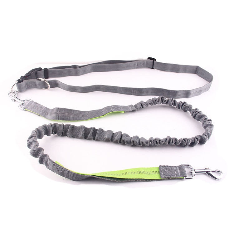 Tuff Mutt dog training lead with shock absorption 