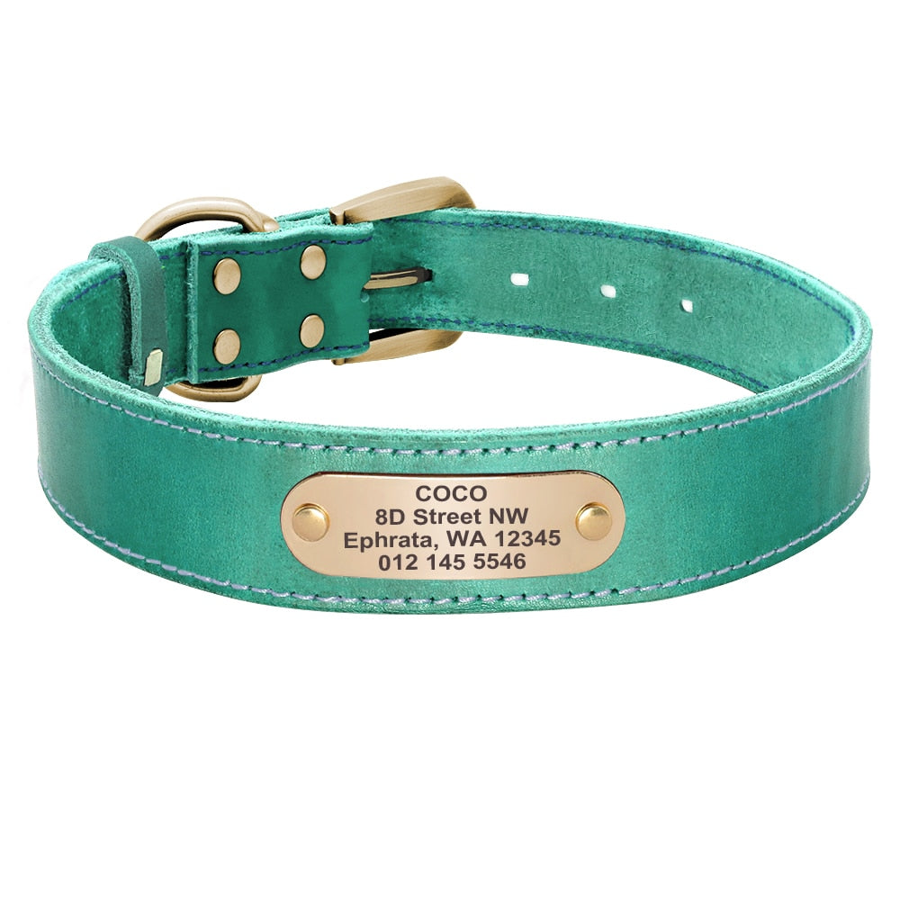 Leather Dog Collar Leash Set Personalized  Free Engraving