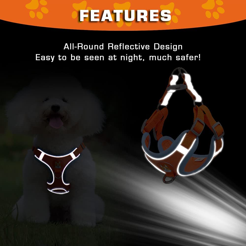 Dog harness and leash set