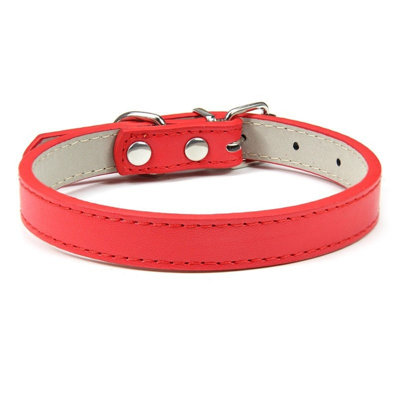 1PC Adjustable Colourful Pet Collar