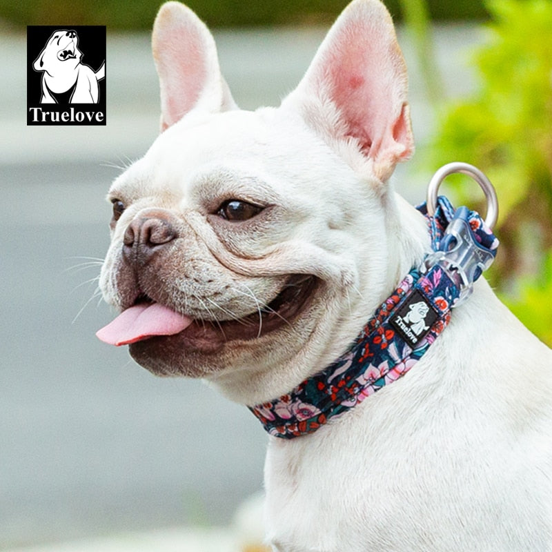 Truelove floral dog collar