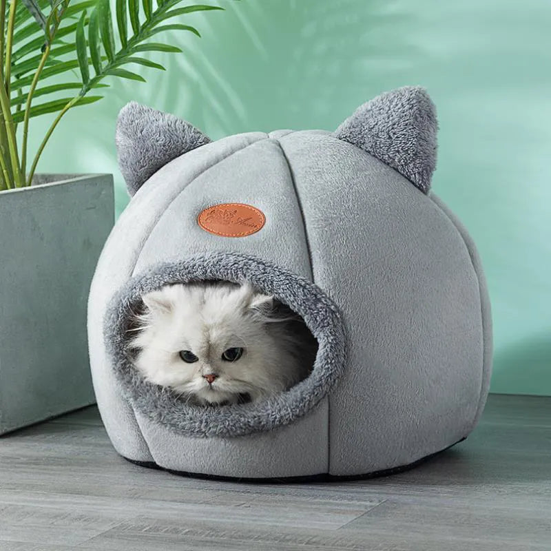 New deep sleep cat house