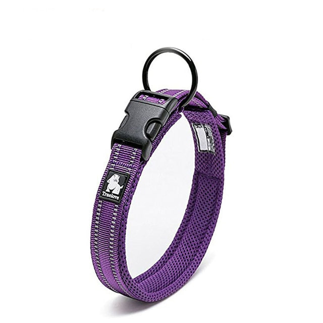 Truelove padded mesh dog collar 