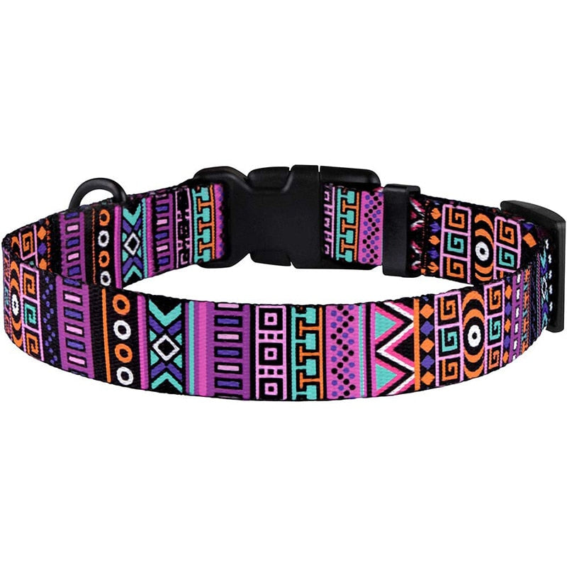 Bohemian style nylon dog collar