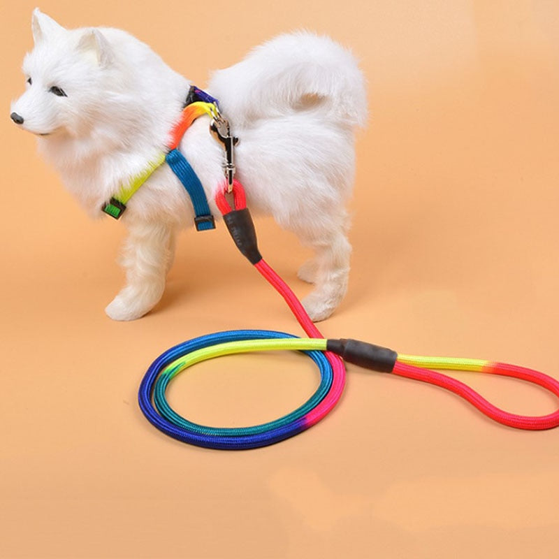 Rainbow 1.2M dog training lead