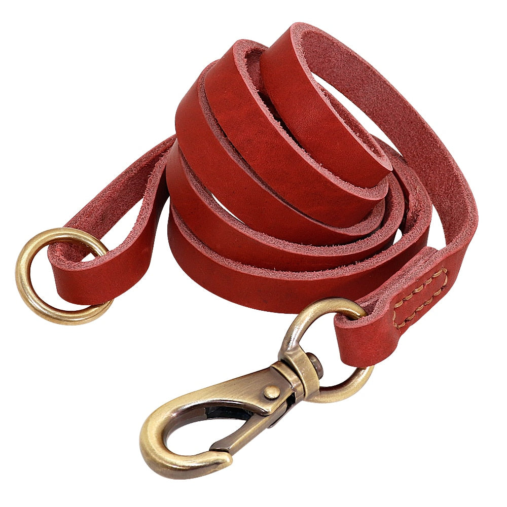 Leather Dog Collar Leash Set Personalized  Free Engraving