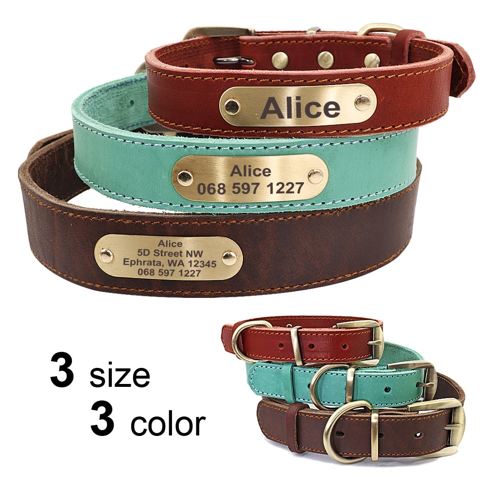 Leather Dog Collar Leash Set Personalized  Free Engraving