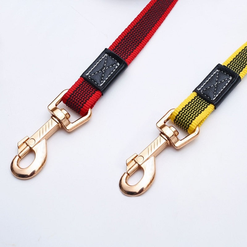 2m 3m 5m long Dog Lead