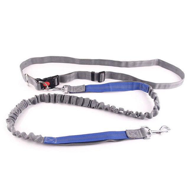 Tuff Mutt dog training lead with shock absorption 