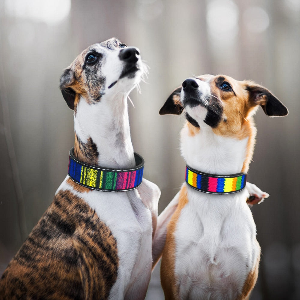 Nylon Wide Dog Collar