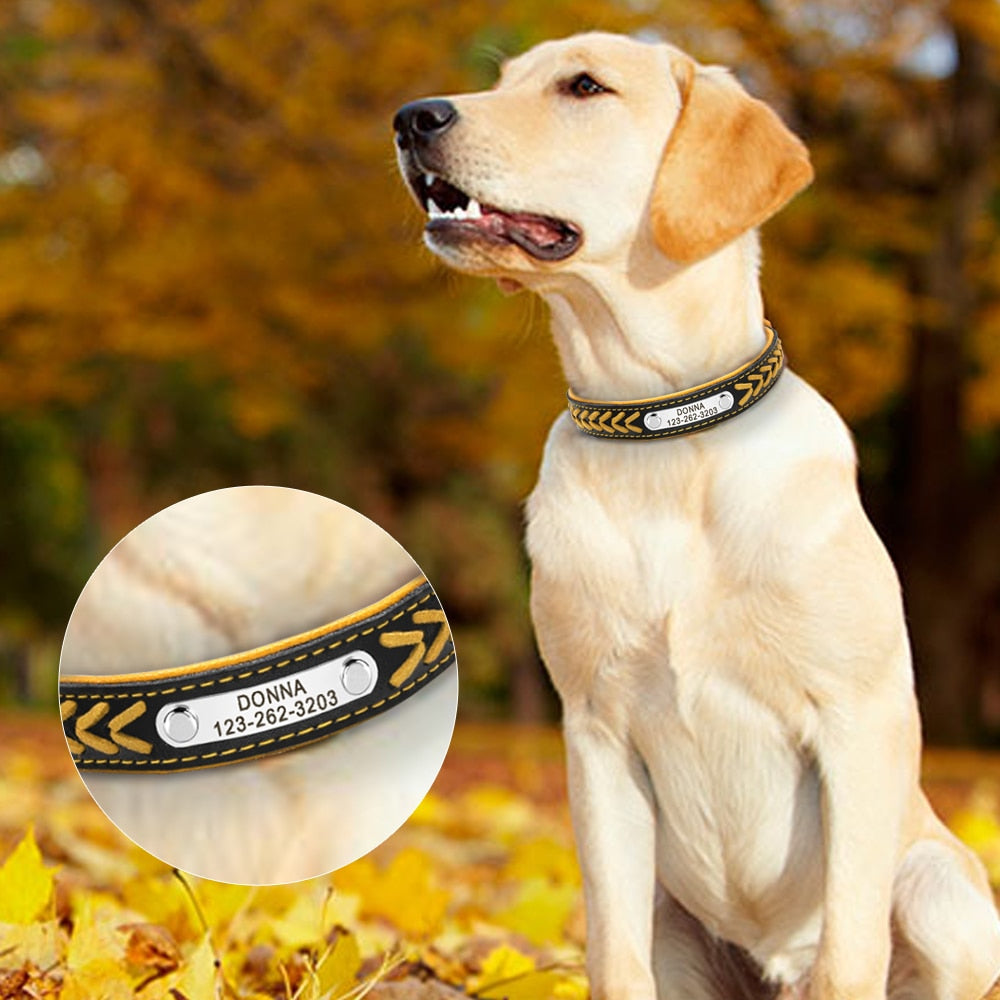 Custom Leather Dog Collar Personalized Free Engraving