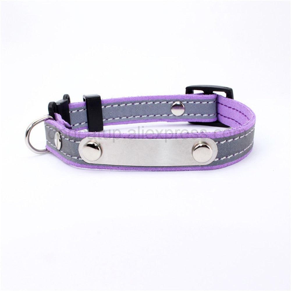 3 in1 Engraved Cat Collar With Name ID Tag Phone Number