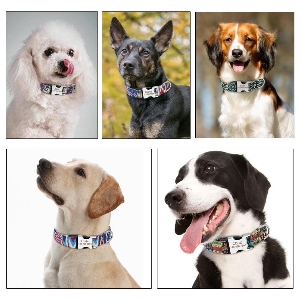 Custom Nylon Dog Collar - Free Engraving