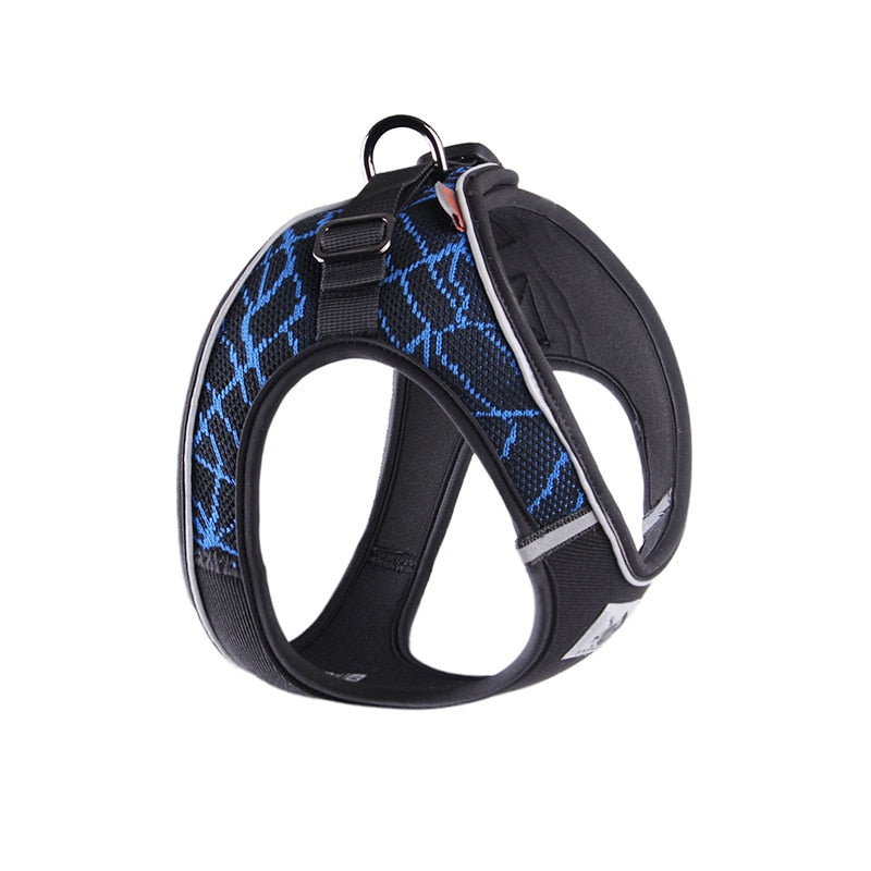 No Pull Dog Harness