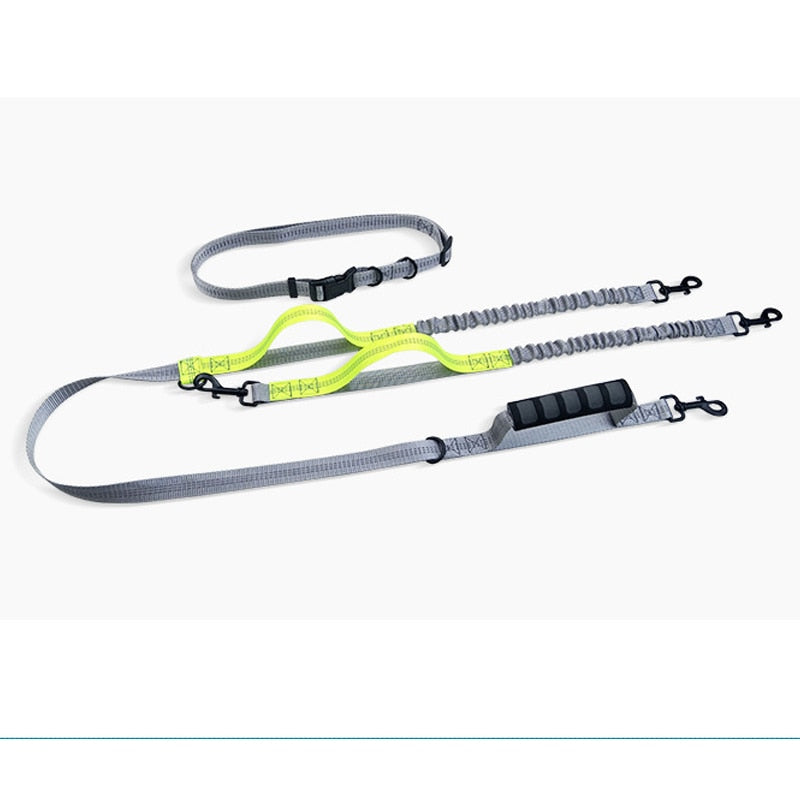 Elastic double dog lead 