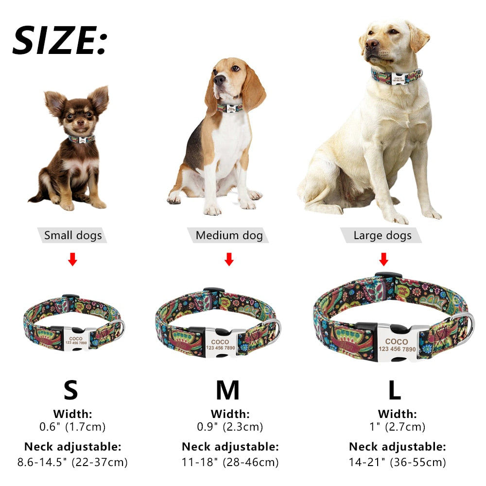 Custom Nylon Dog Collar - Free Engraving