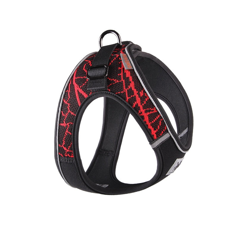 No Pull Dog Harness