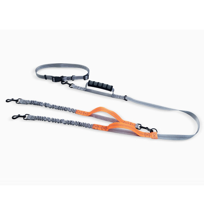 Elastic double dog lead 