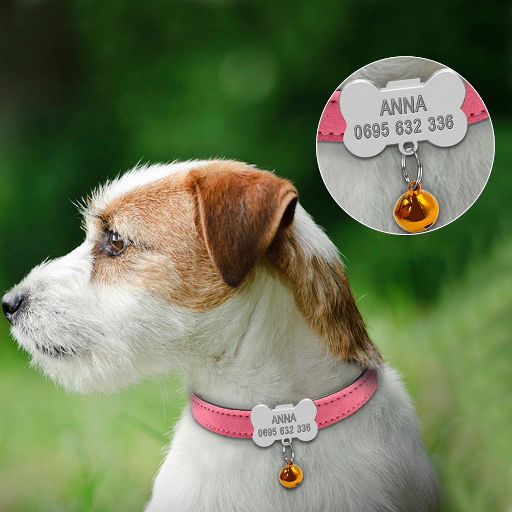 Custom Dog Collar With Name ID