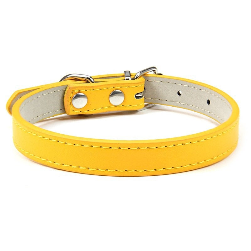 1PC Adjustable Colourful Pet Collar